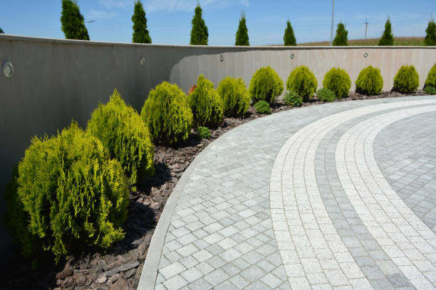 Reasons to Select Us for Your Driveway Paving Requirements in Goose Creek Village, VA